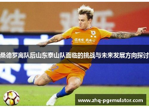 桑德罗离队后山东泰山队面临的挑战与未来发展方向探讨