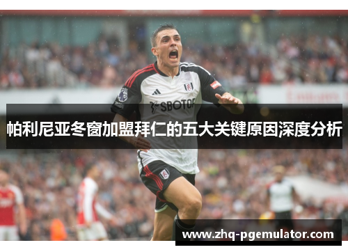 帕利尼亚冬窗加盟拜仁的五大关键原因深度分析