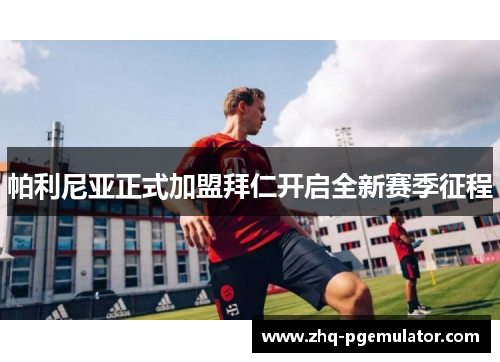 帕利尼亚正式加盟拜仁开启全新赛季征程